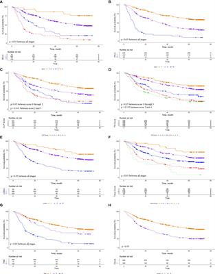 Prognostic Value of Microvascular Invasion in Eight Existing Staging Systems for Hepatocellular Carcinoma: A Bi-Centeric Retrospective Cohort Study